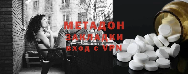 прущие грибы Вязьма