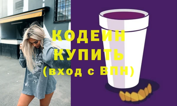 спиды Вяземский