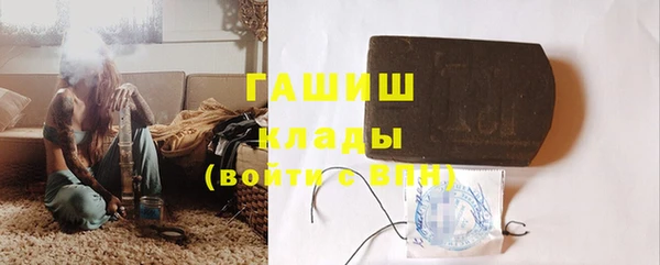 прущие грибы Вязьма
