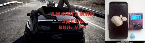 прущие грибы Вязьма