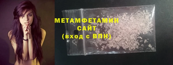 прущие грибы Вязьма