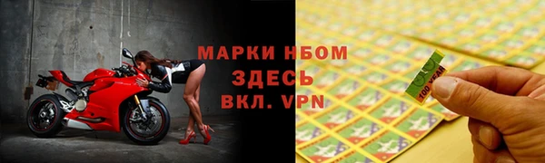 спиды Вяземский