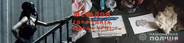 прущие грибы Вязьма