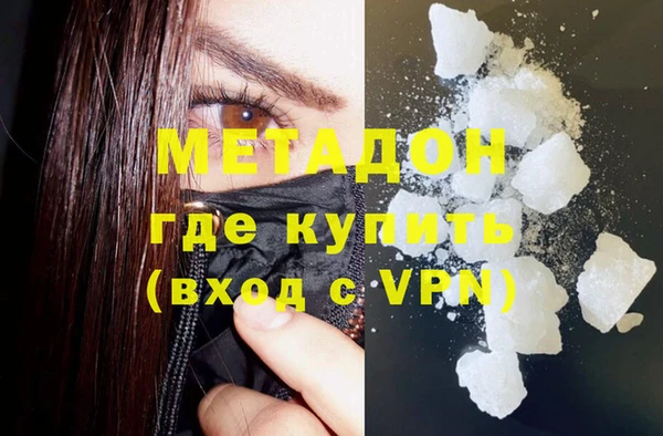 прущие грибы Вязьма