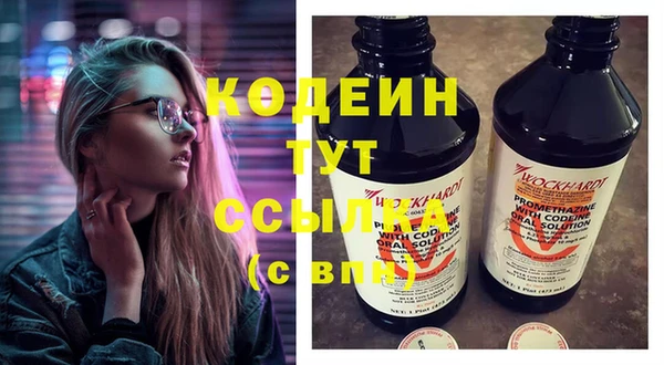 спиды Вяземский
