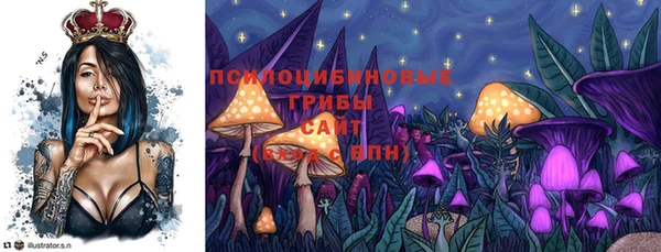 спиды Вяземский