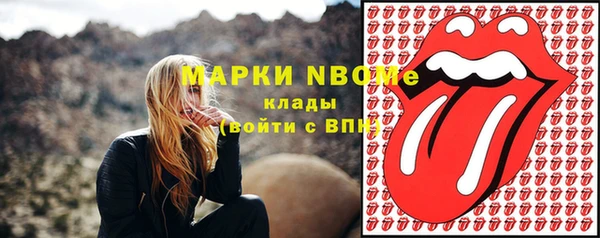 прущие грибы Вязьма