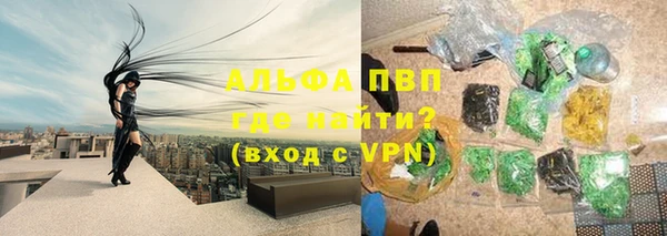 прущие грибы Вязьма