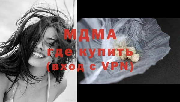 прущие грибы Вязьма