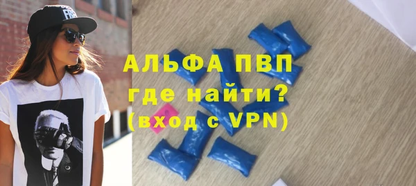прущие грибы Вязьма